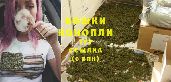 соль ск Верея
