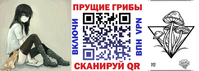 Купить закладки  Зерноград  Псилоцибиновые грибы MAGIC MUSHROOMS 